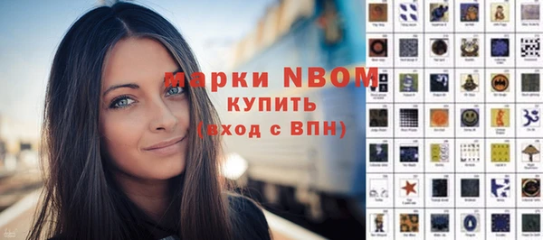 хмурый Белокуриха