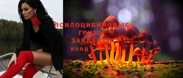 твердый Бородино