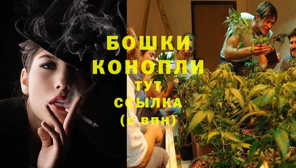 хмурый Белокуриха