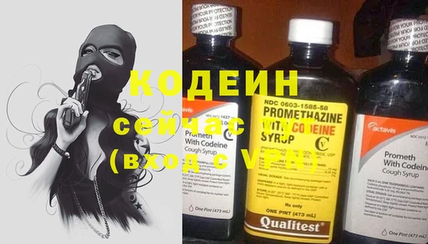 хмурый Белокуриха