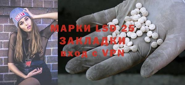 хмурый Белокуриха