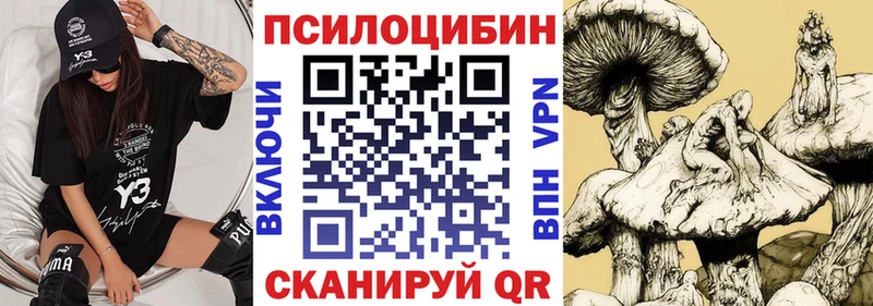 KRAKEN tor  Верхняя Тура  Псилоцибиновые грибы GOLDEN TEACHER 